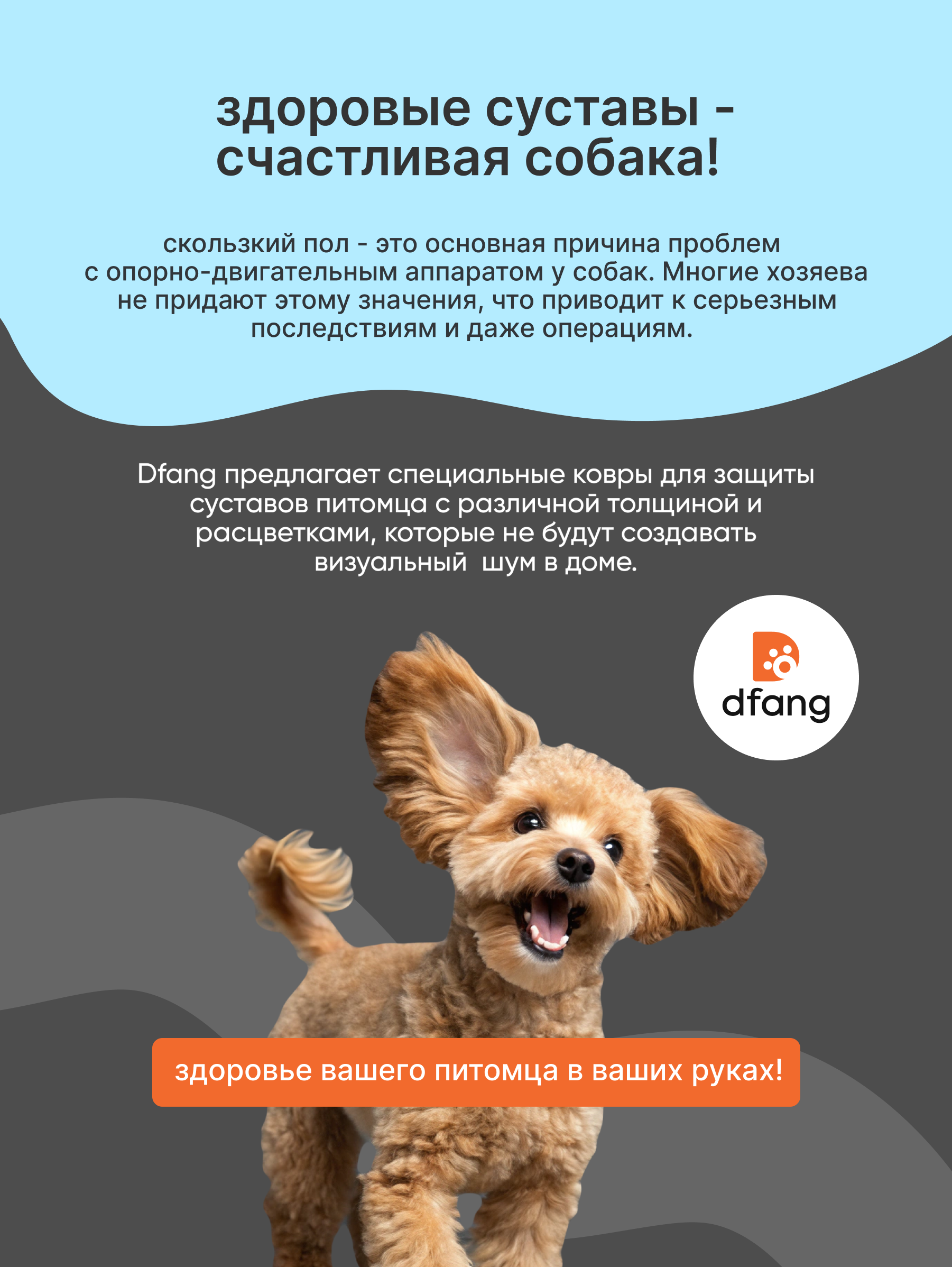 Моющийся ковер для собак в гостиную Dfang нескользящий Кремовый шик 180x140x0,4 - фото 2