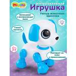 Собака РУ Mioshi животные