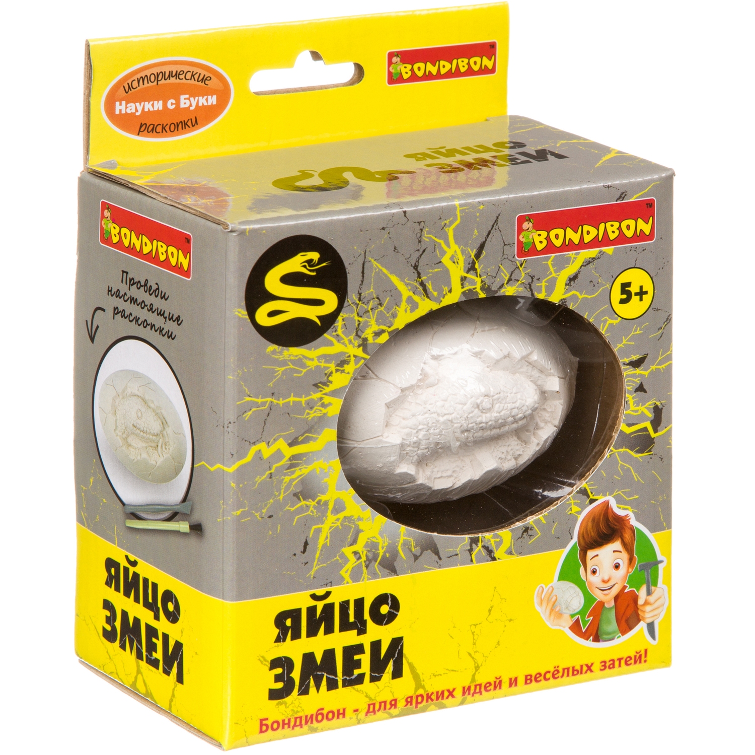 Набор для раскопок Bondibon палеонтология: Яйцо змеи - фото 3
