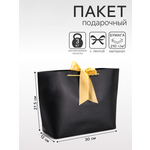 Пакет UPAK LAND подарочный с лентой черный