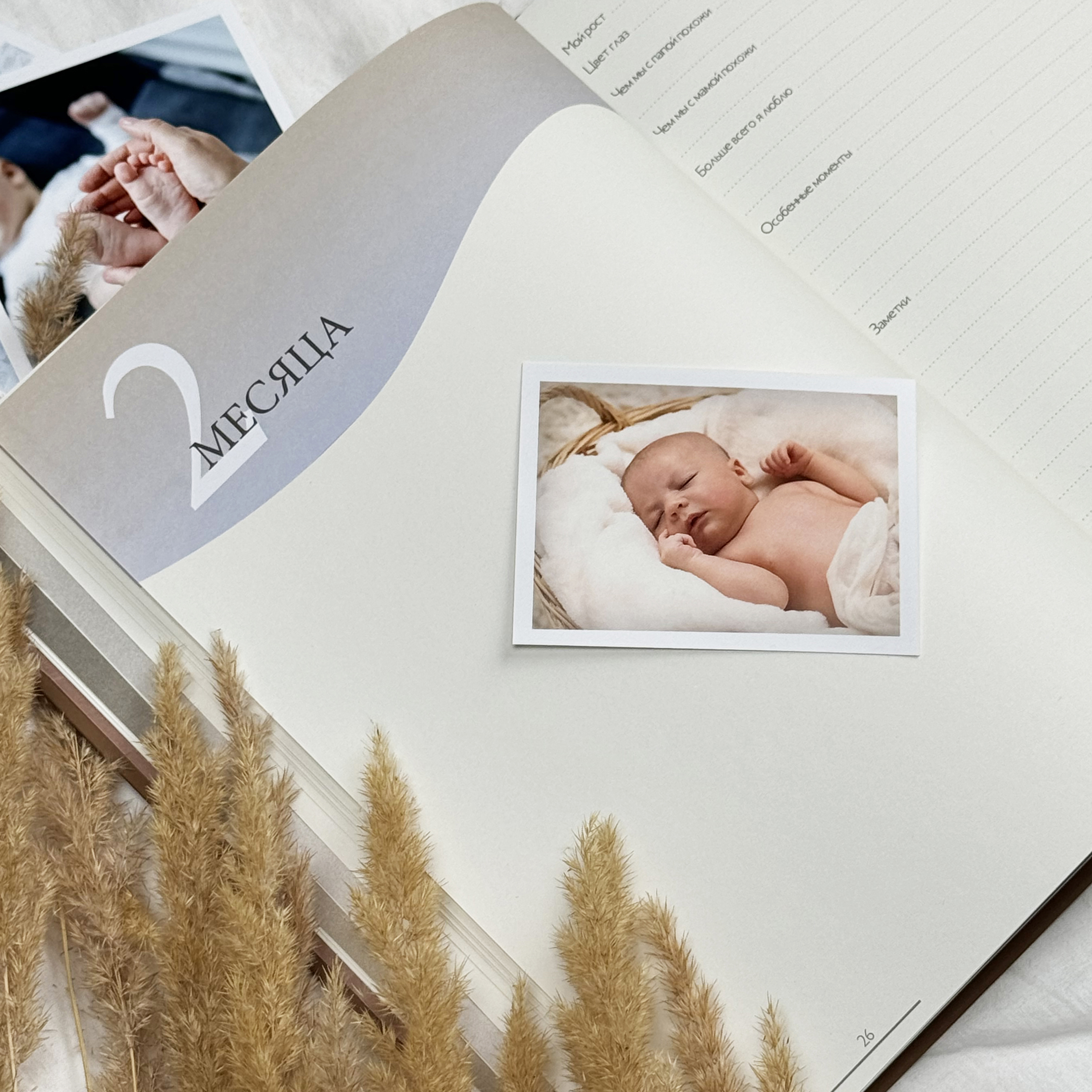 Альбом для новорожденных Amabook Голубое небо - фото 4