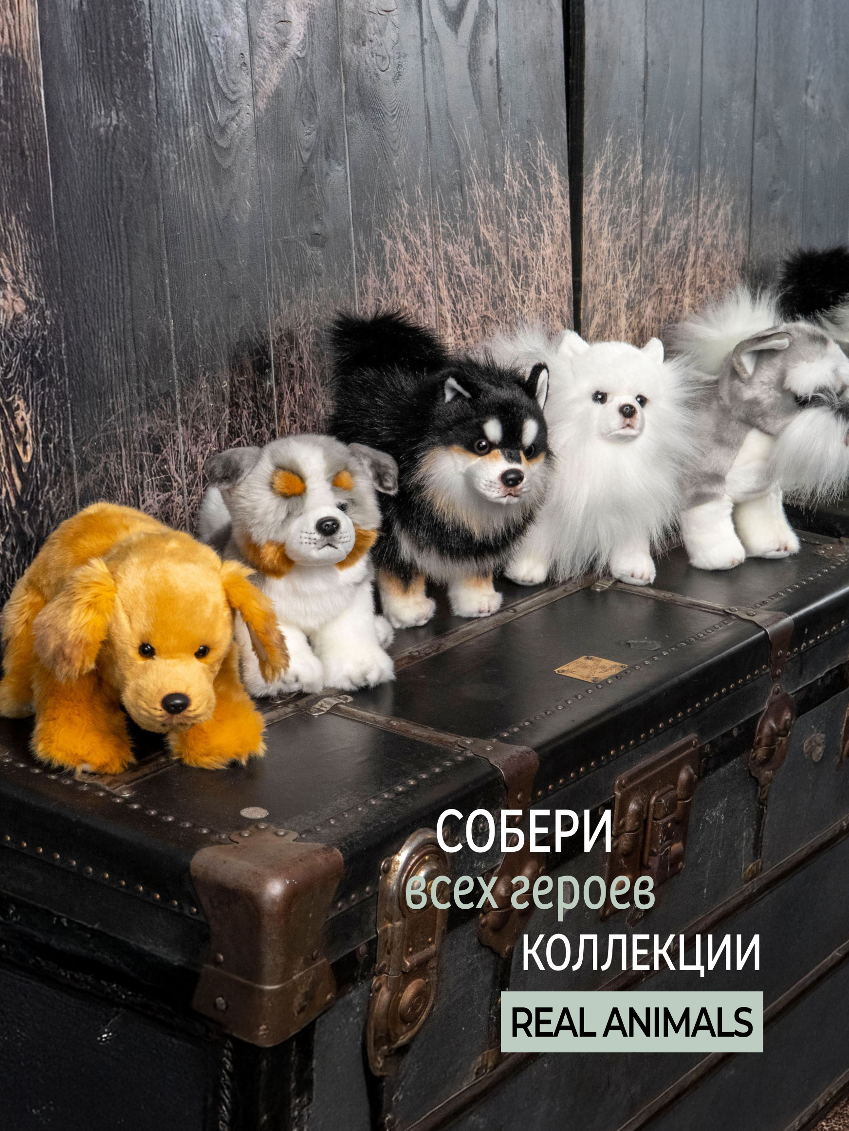 Мягкая игрушка GULLIVER toys Померанский шпиц - фото 10