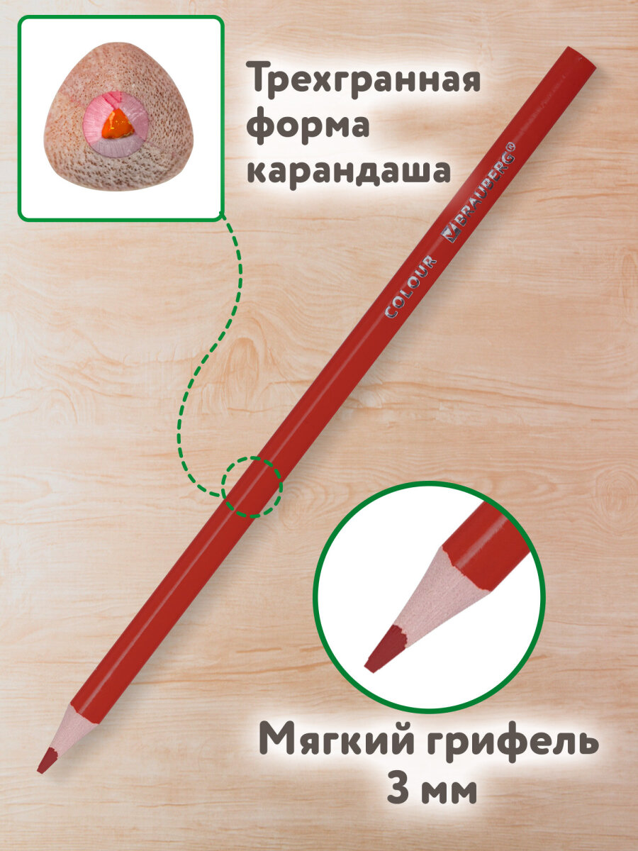 Карандаши цветные Brauberg 36 шт. - фото 2