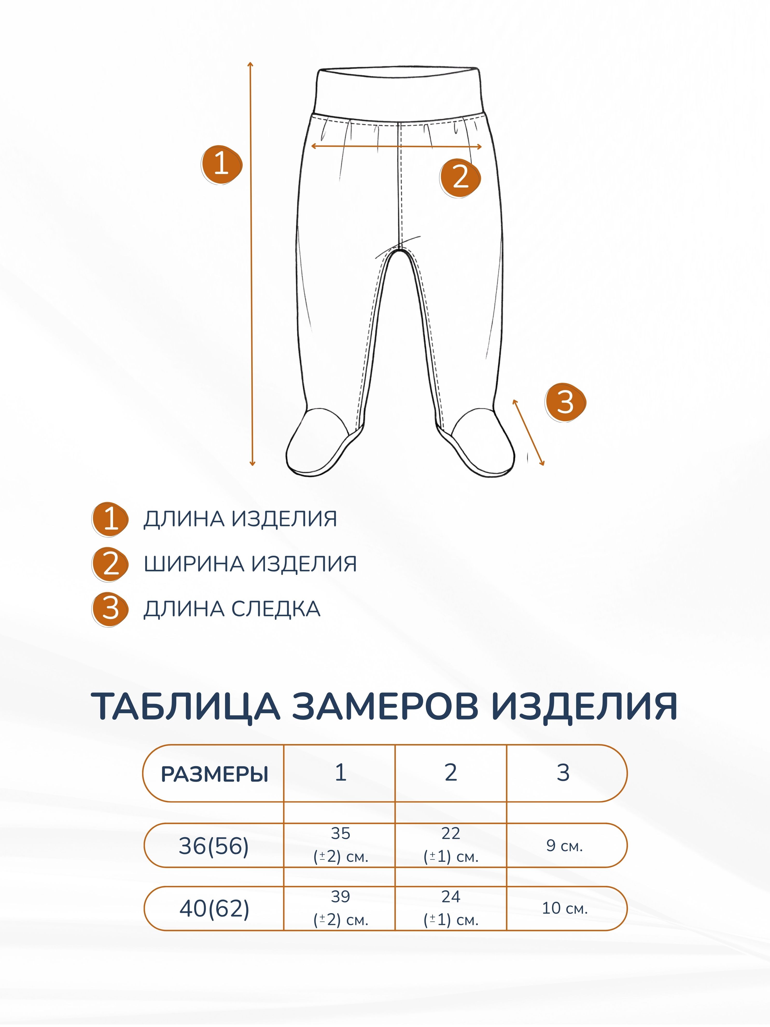 Ползунки 3 шт ROKAKIDS 3_ПКЕИрП_Экрю_Полынь_Кофе - фото 4