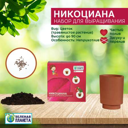 Набор для выращивания ЗЕЛЕНАЯ ПЛАНЕТА