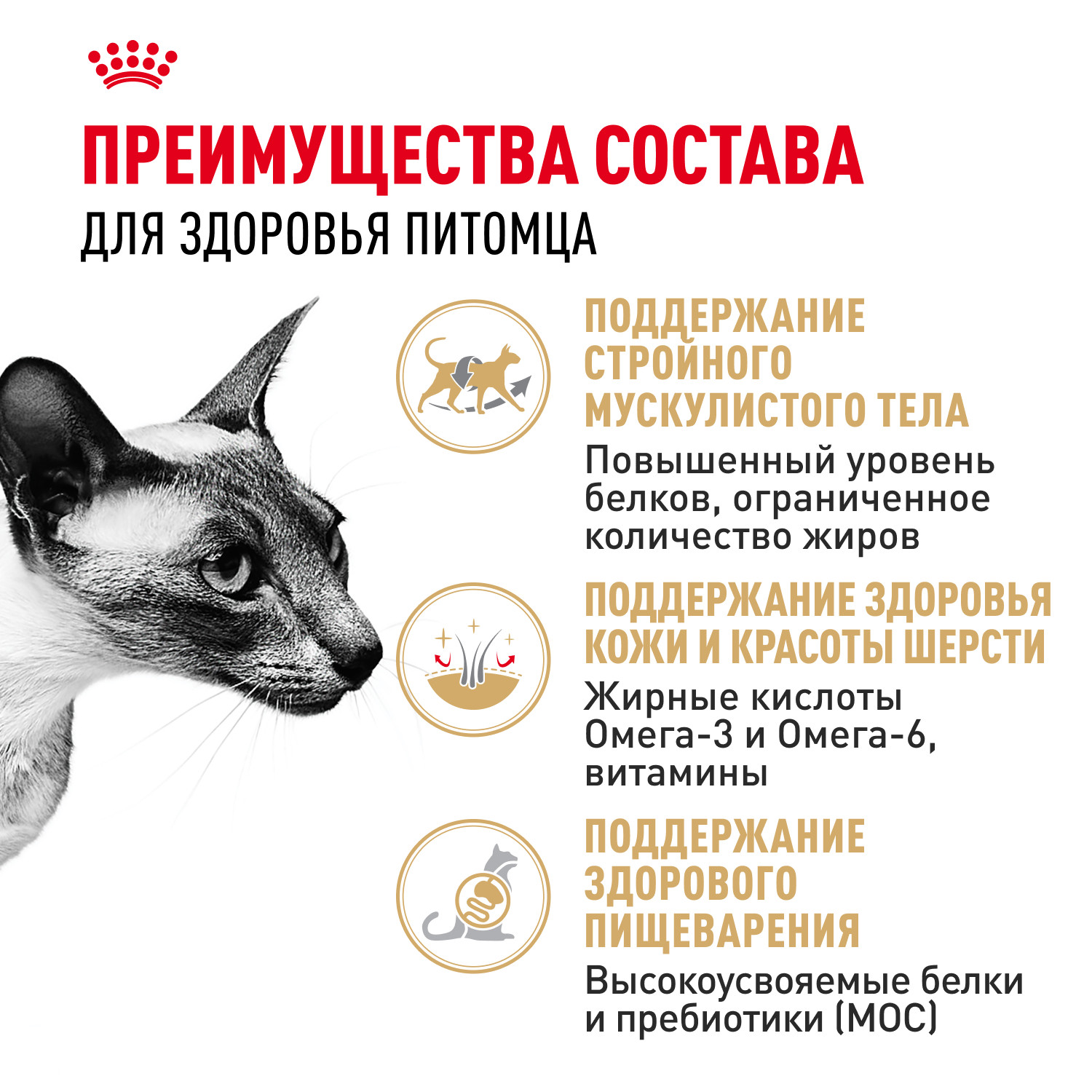 Корм сухой для кошек ROYAL CANIN Siamese 400г - фото 3