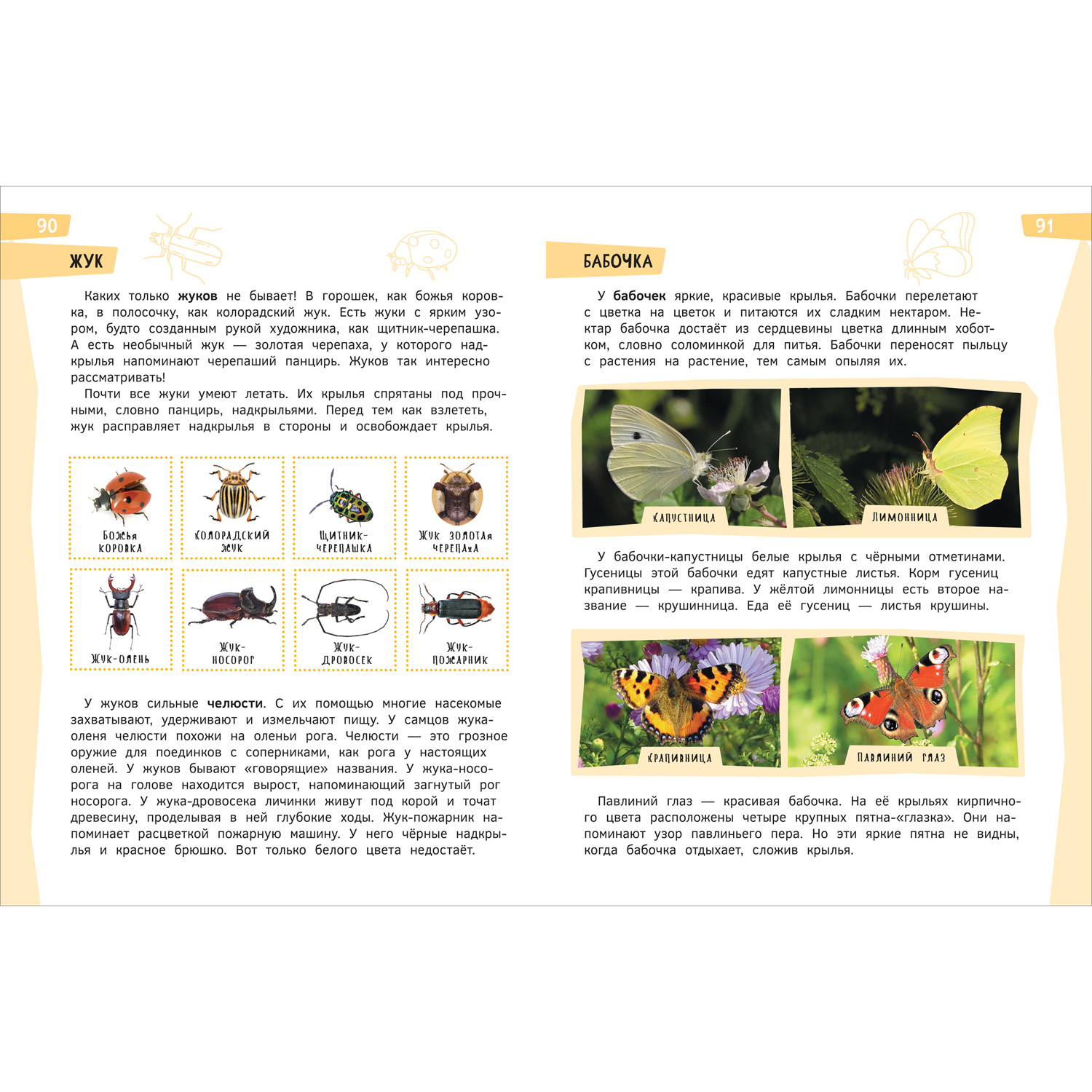 Книга Росмэн Подарок маленькому школьнику Энциклопедия - фото 3