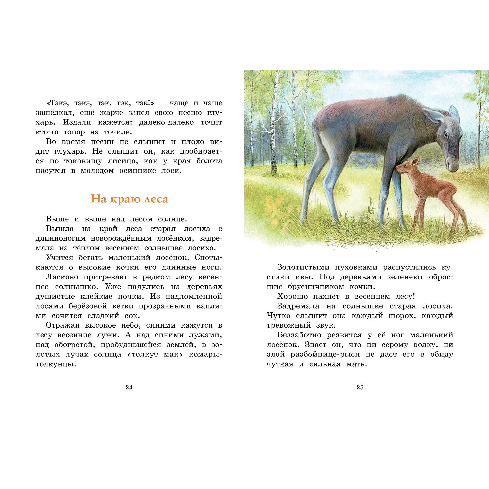 Книга МАХАОН Год в лесу. Рассказы о природе Соколов-Микитов И. - фото 4