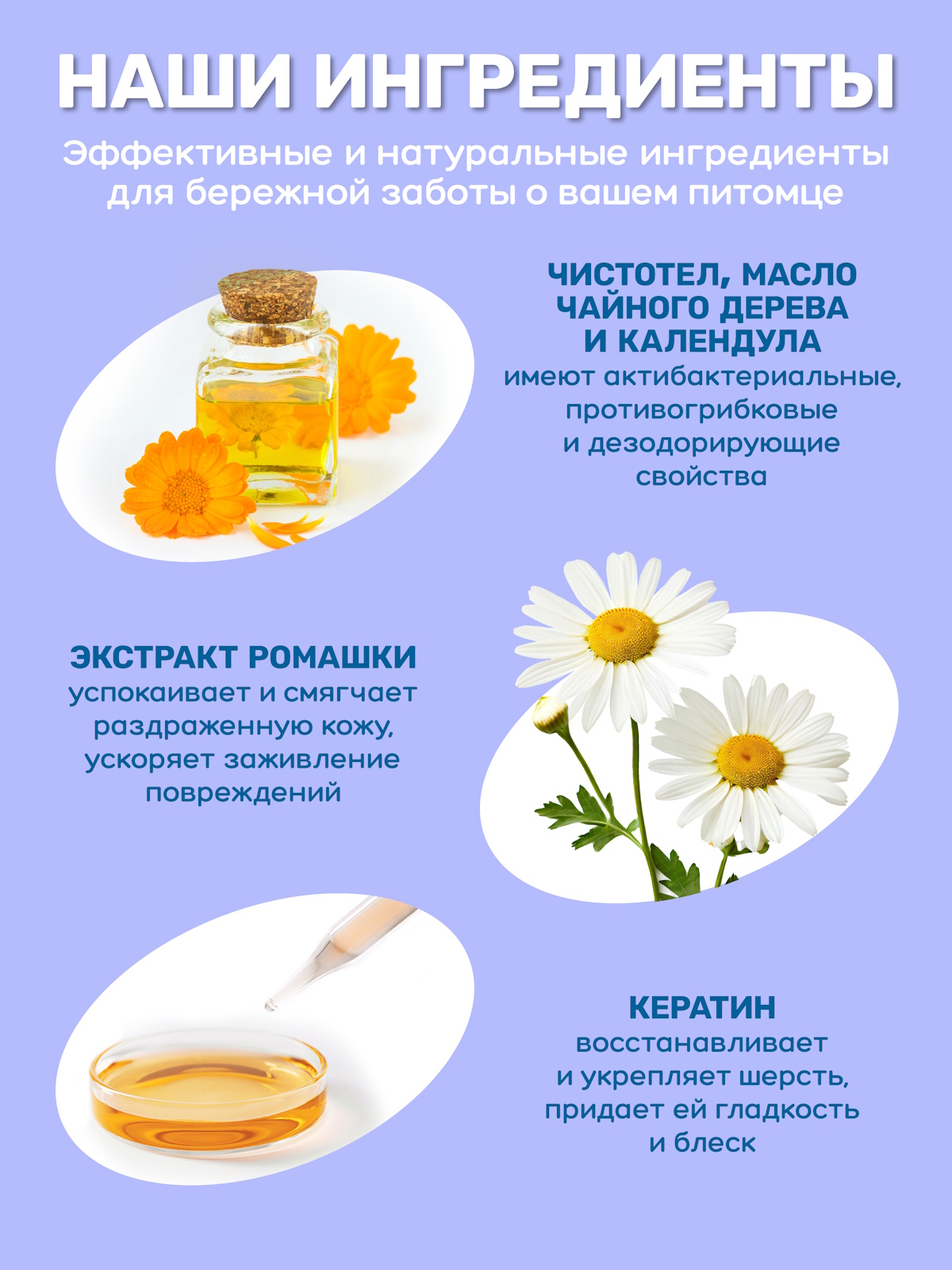 Шампунь для собак и кошек ZOORIK антибактериальный с фитокомплексом 400 мл - фото 5