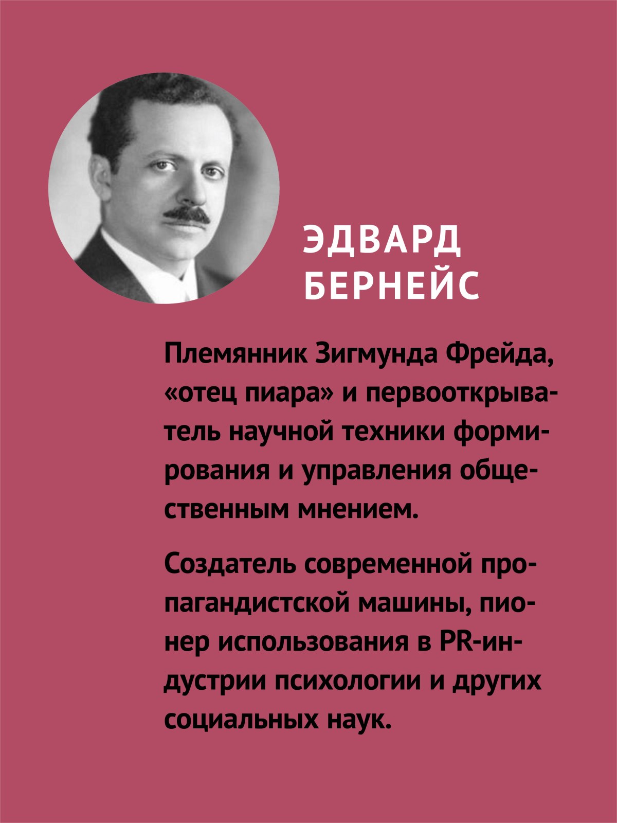 Книга Пропаганда экопокет ПИТЕР экопокет - фото 6