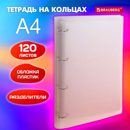 Тетрадь со сменным блоком Brauberg клетка 120 лист.