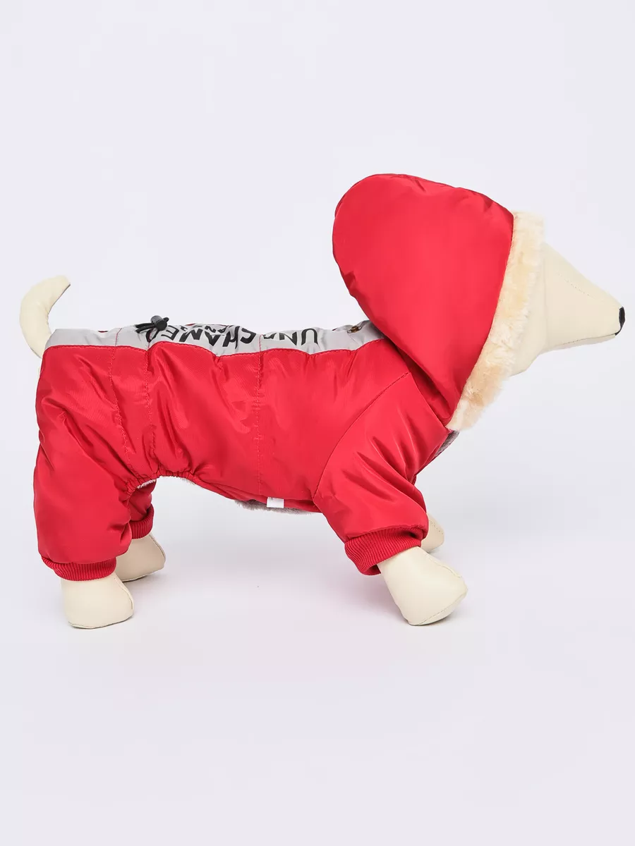 Комбинезон PIFPAF DOG 937-84 - фото 5