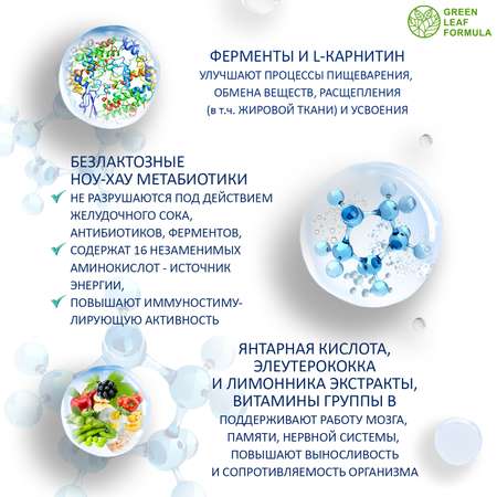 Метабиотик для кишечника Green Leaf Formula ферменты для пищеварения L-карнитин для сжигания жира для иммунитета