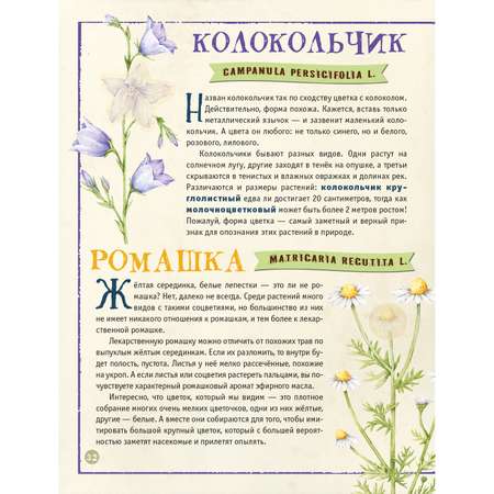 Книга Первый гербарий малыша с наклейками