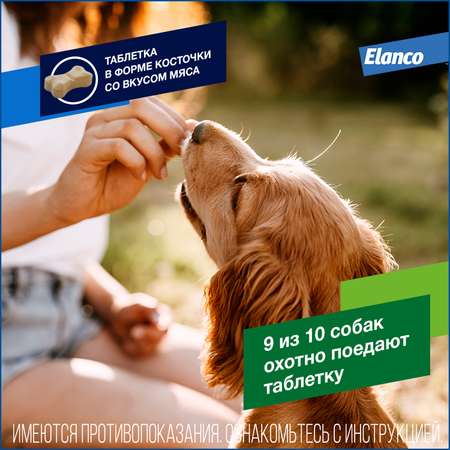 Антигельминтик для собак Elanco Дронтал плюс 6таблеток
