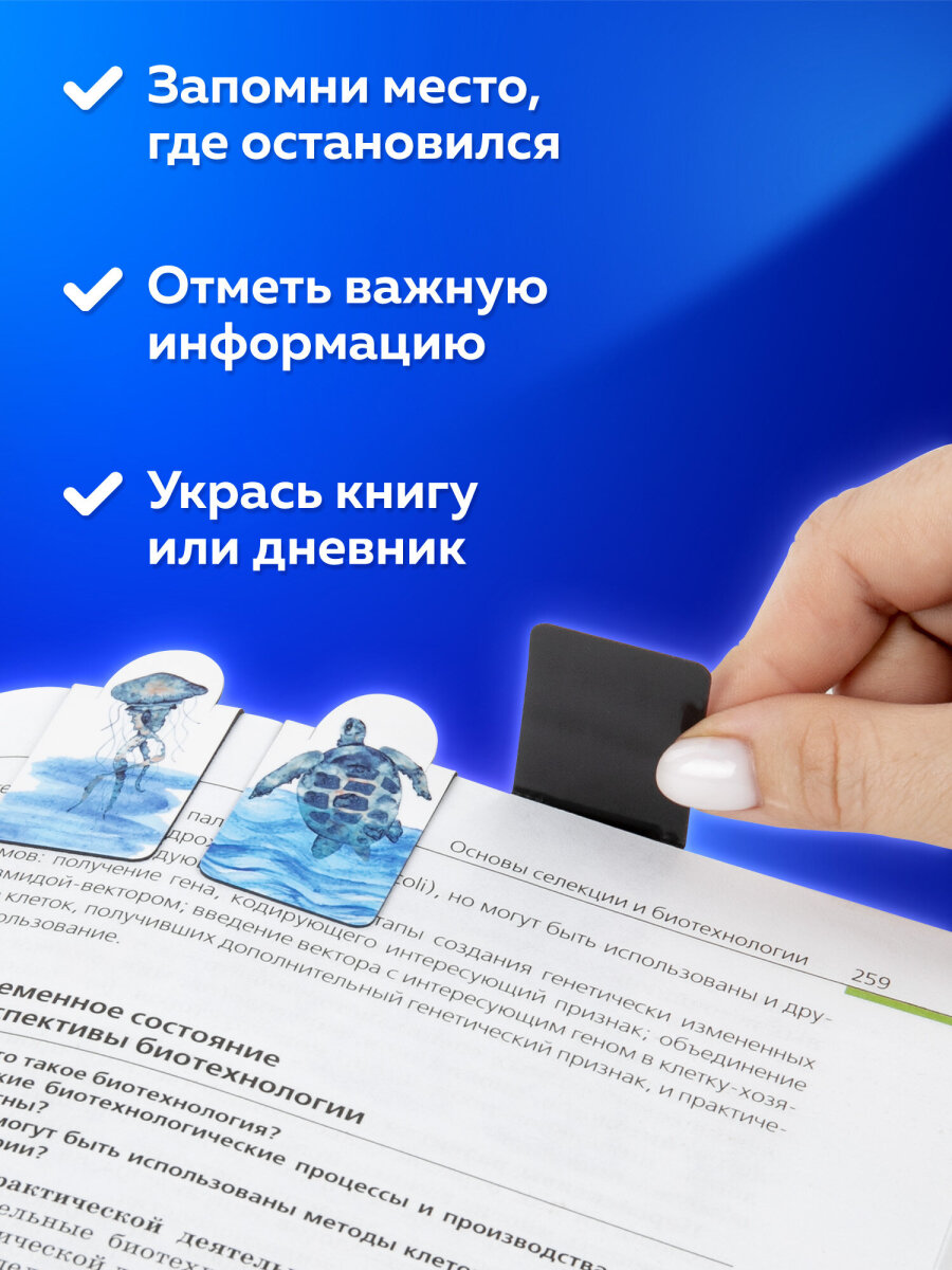 Магнитная закладка Brauberg 6 шт. - фото 3