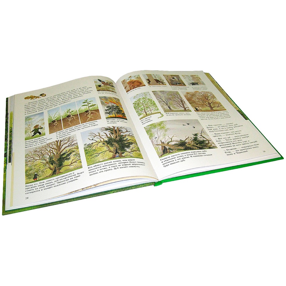 Книга Добрая книга Наше дерево. Иллюстрации Герды Мюллер - фото 5
