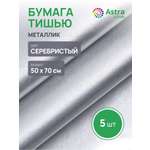 Бумага Astra Craft 50х70см 5 шт GP-01 серебряный