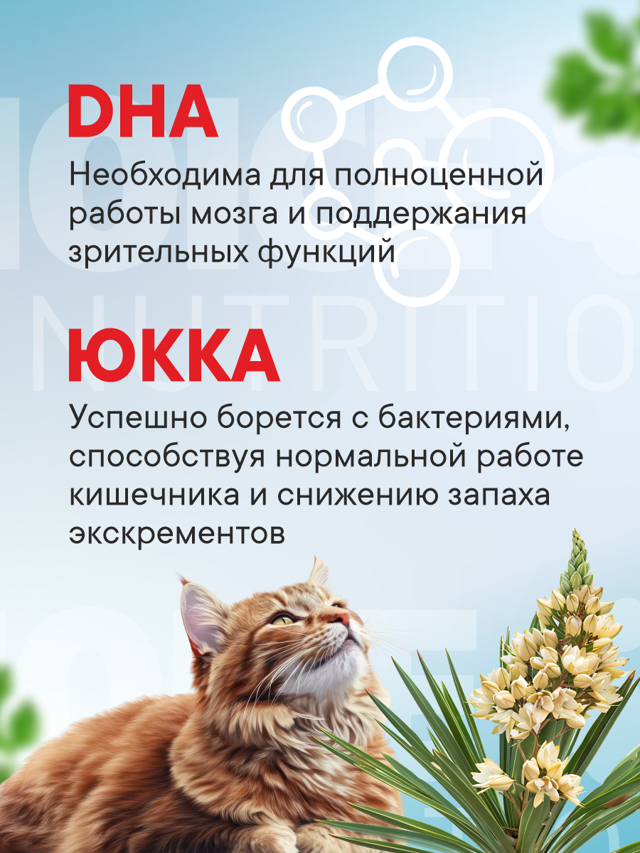 Корм для котят влажный 1st Choice Тунец премиум в желе жб 85г 12 шт. - фото 3