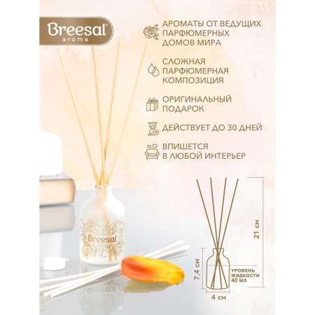 Ароматический диффузор Breesal Aromа Sphere 1001 ночь 40 мл