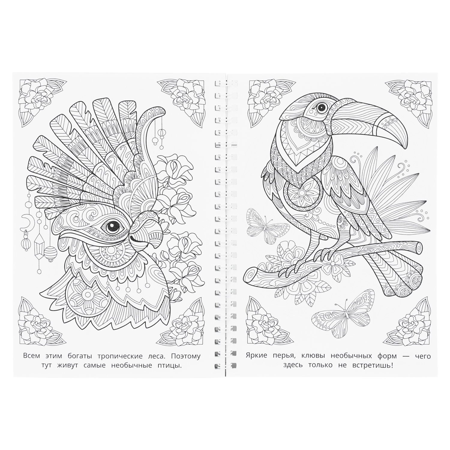 Раскраска антистресс УМка Мир природы - фото 4