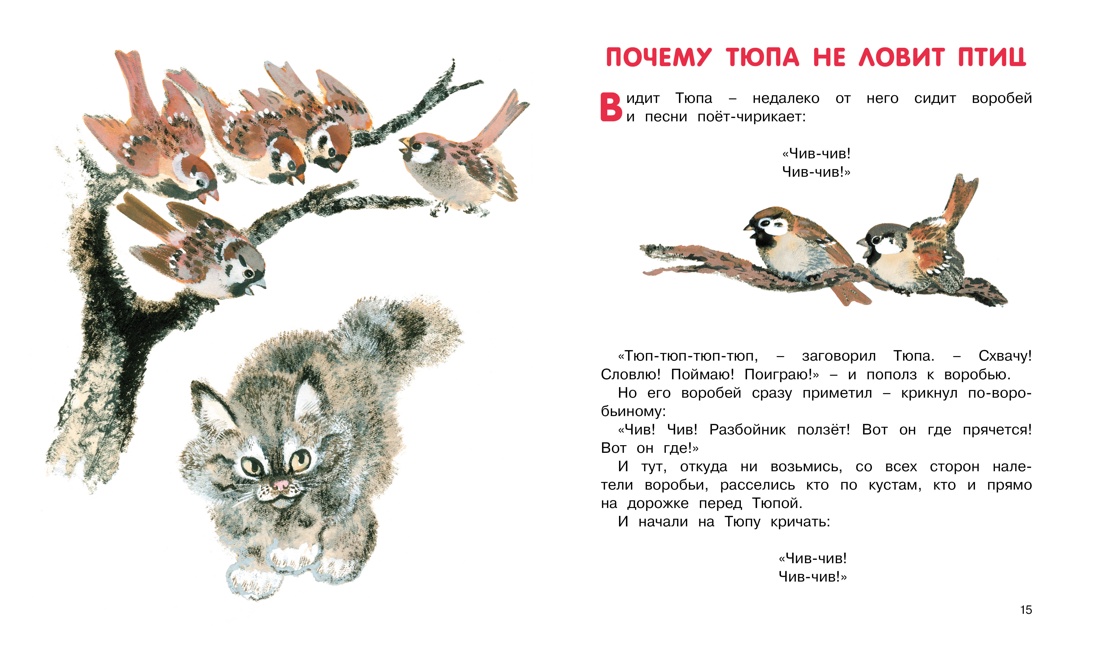 Книга Махаон Друзья. - фото 5