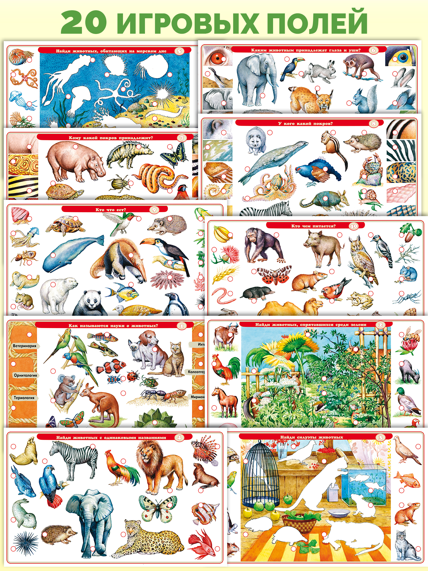 Настольная игра Дрофа-Медиа Электровикторина - фото 2