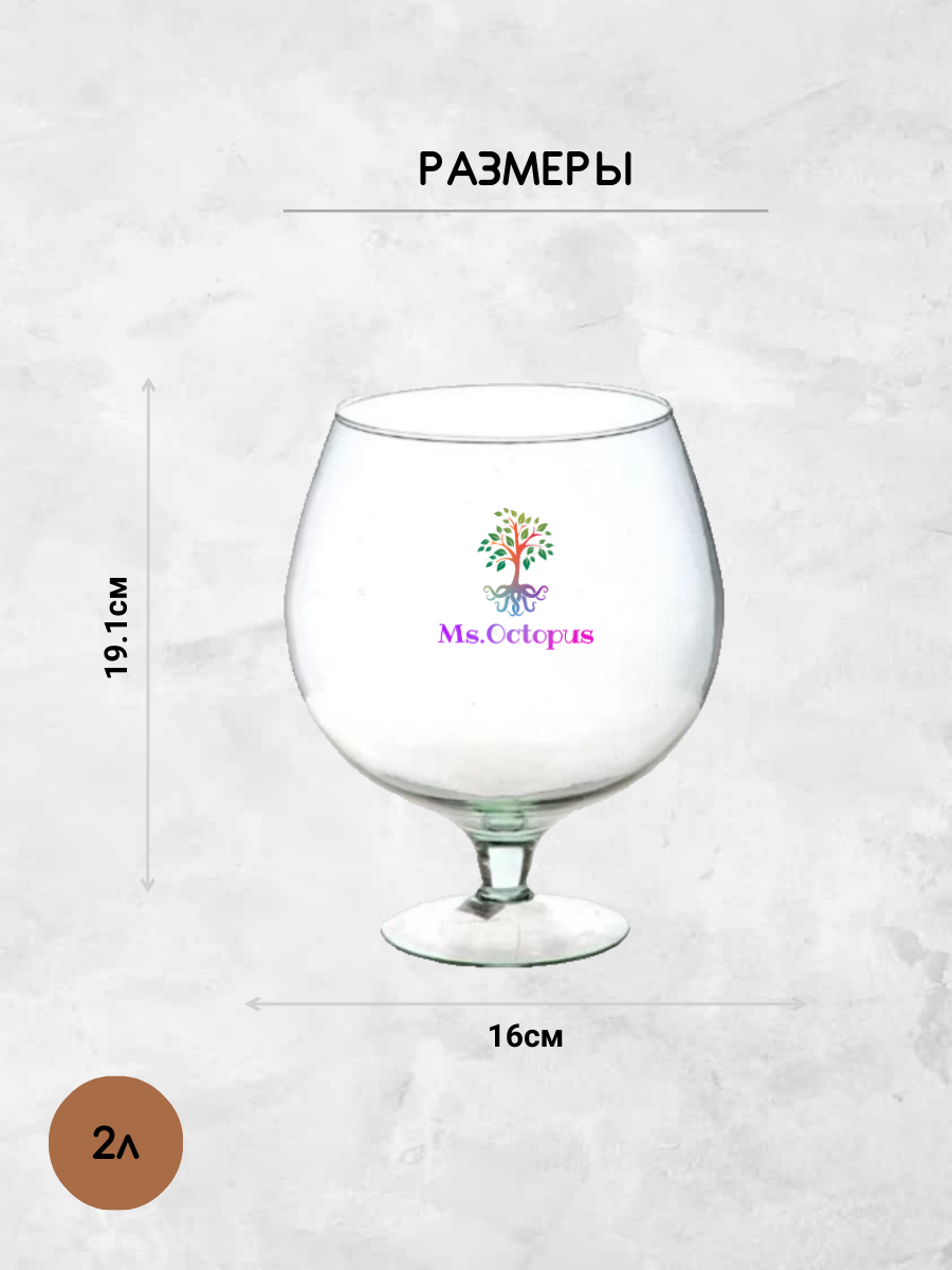 Аквариум Ms.Octopus бокал 2 л - фото 3