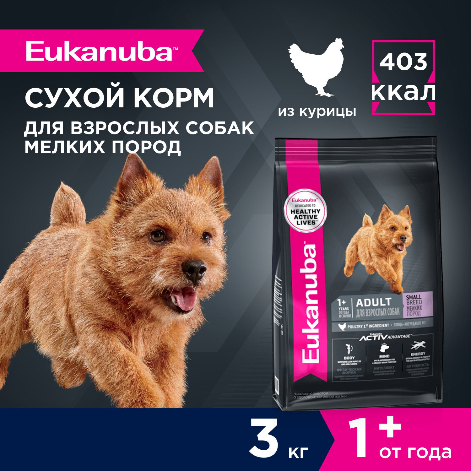 Корм Eukanuba Dog 3кг для взрослых собак мелких пород сухой - фото 1