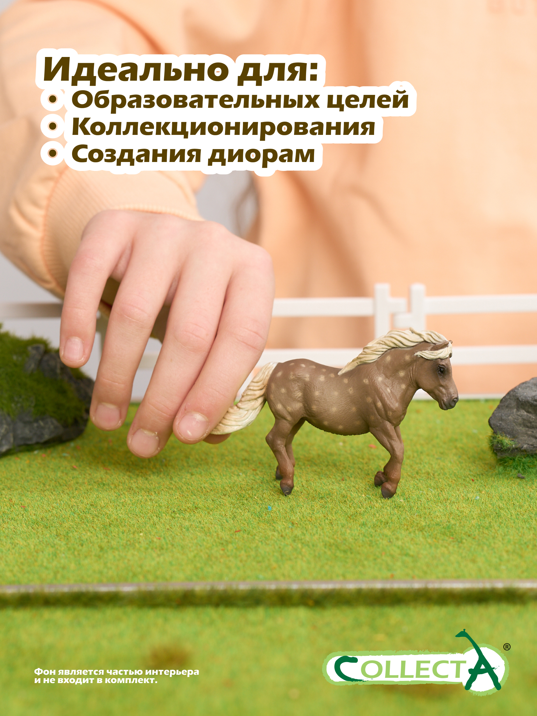 Фигурка Collecta Пони Шетландский - фото 6