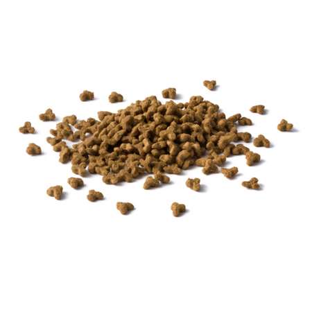 Корм сухой для кошек Cat Chow 400г+85г с домашней птицей