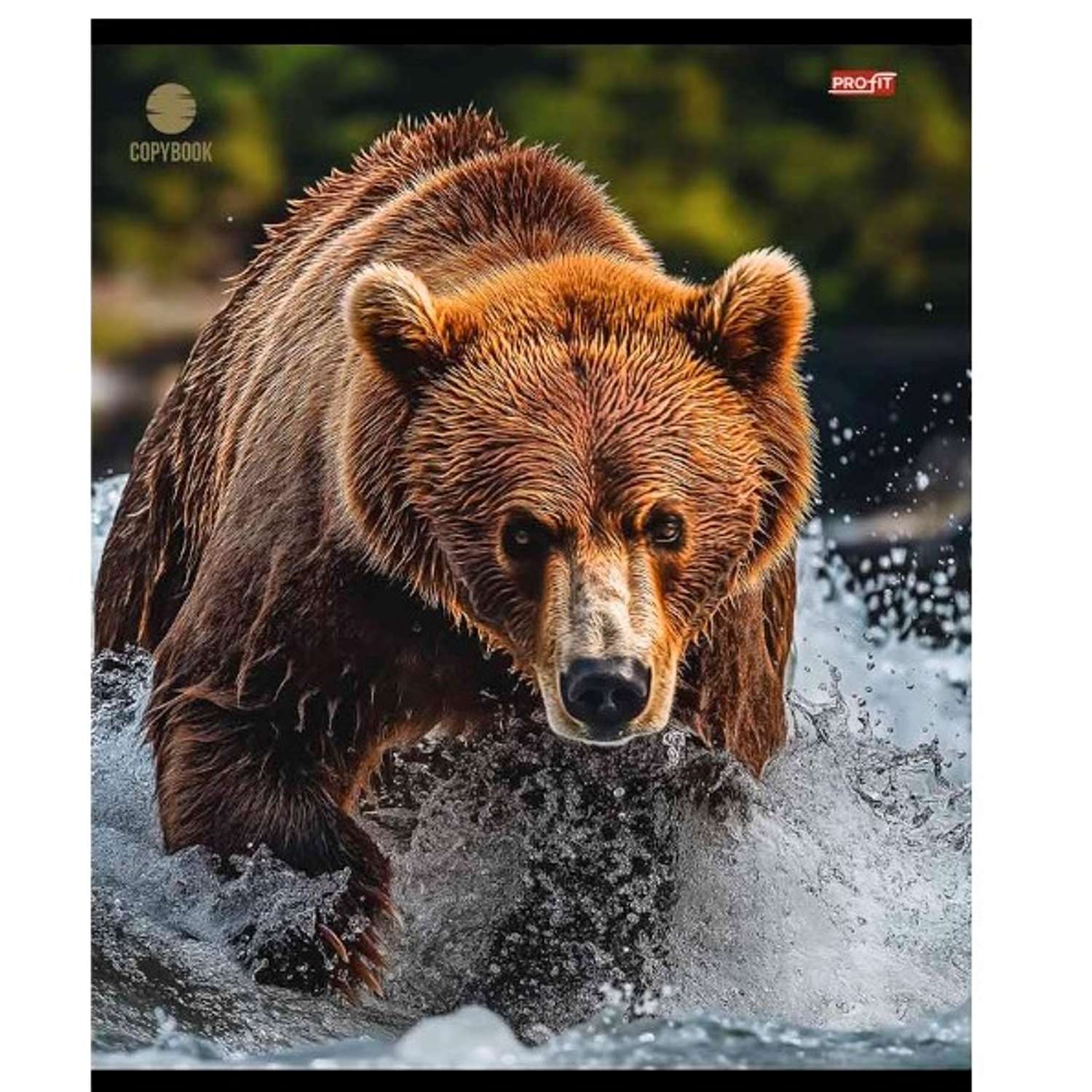 Общая тетрадь Profit клетка 48 лист. 1 шт. - фото 5