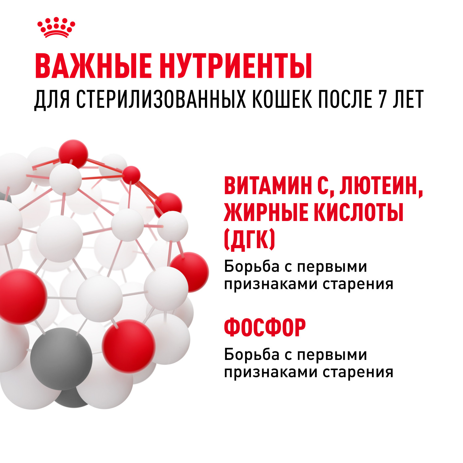 Корм сухой для кошек ROYAL CANIN Sterilised 1.5кг пожилых стерилизованных - фото 5