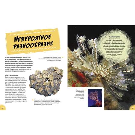 Книга Махаон Эра динозавров Жизнь в доисторические времена