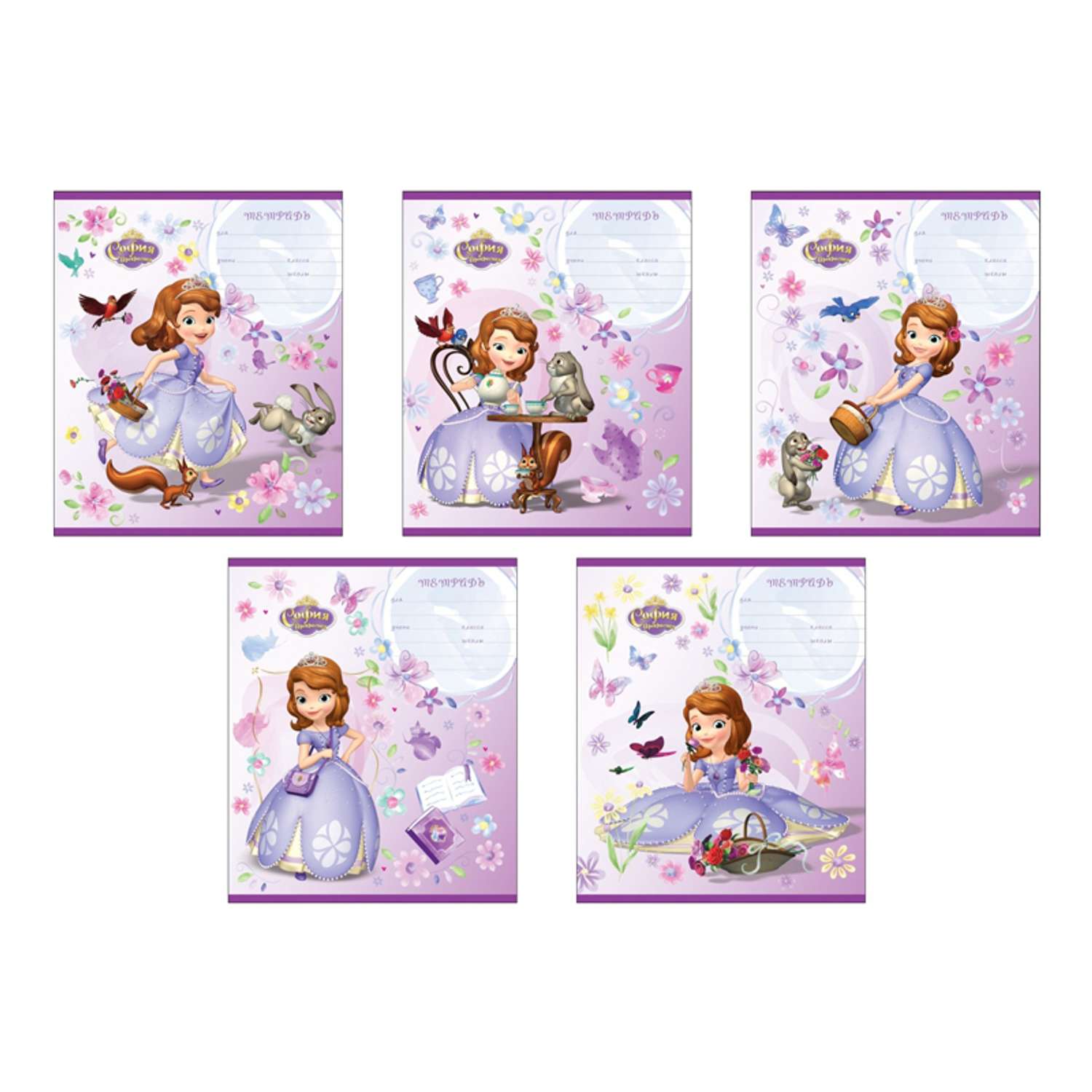 Тетрадь Disney клетка 12 лист. - фото 1