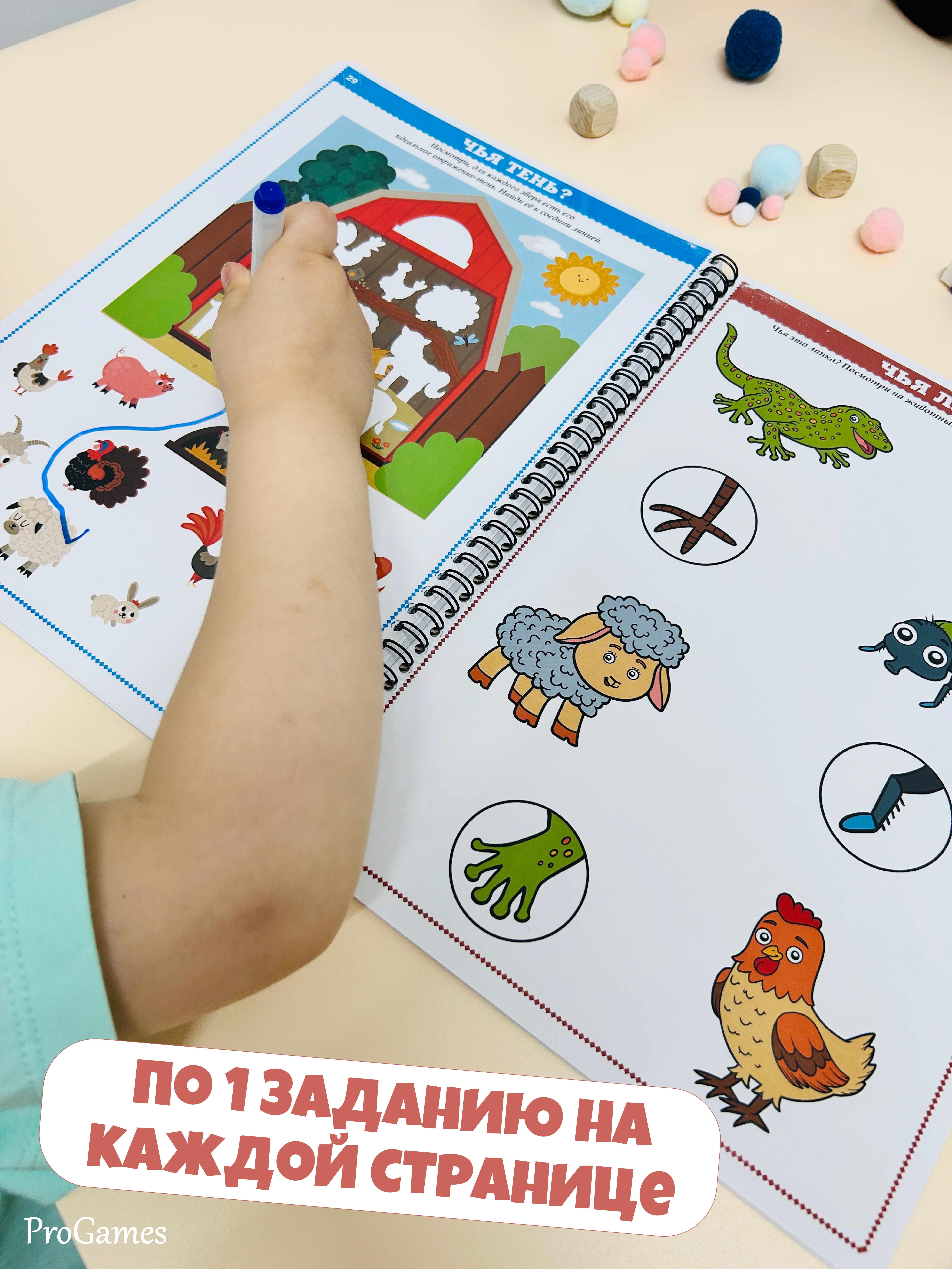Настольная игра ProGames Пиши и стирай 3-4 года - фото 10