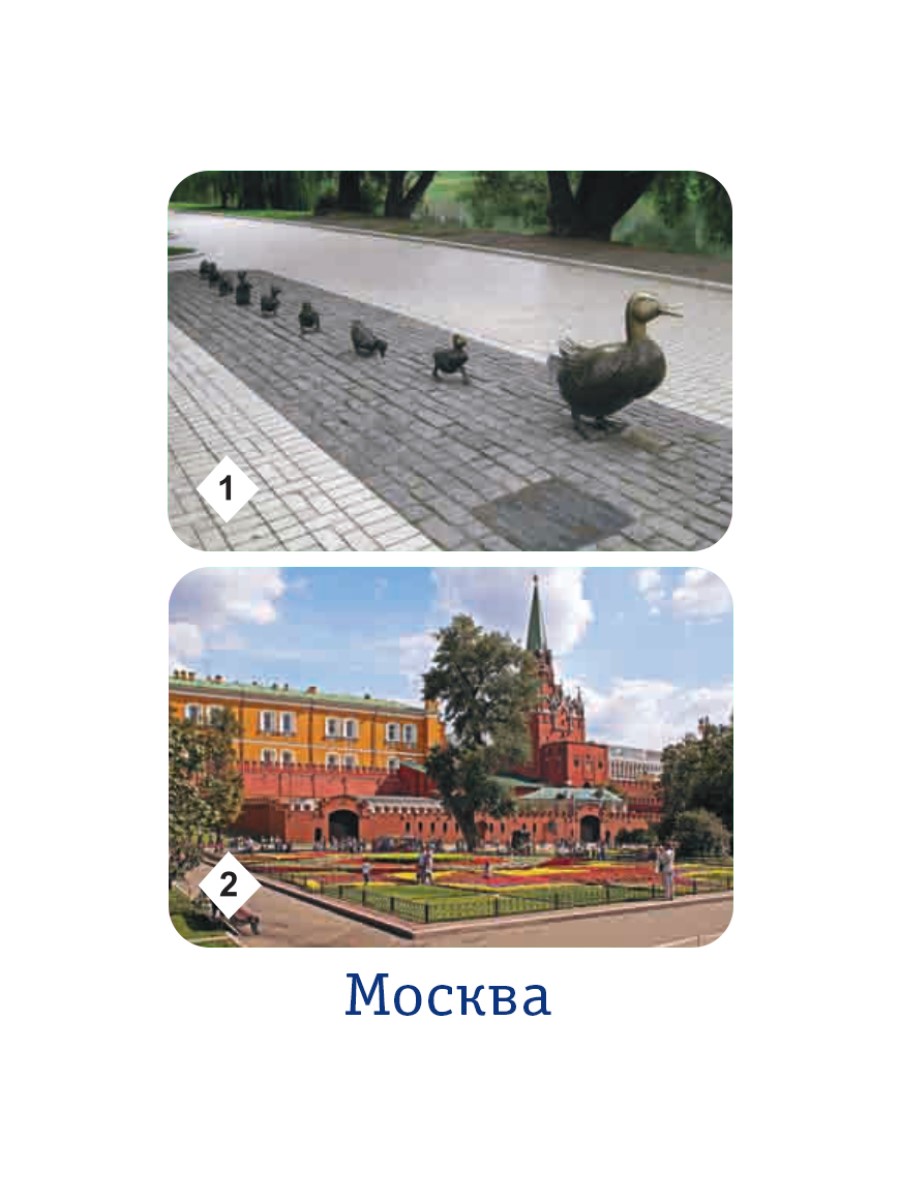 Настольная игра Нескучные игры Мемо 2 в 1 - фото 3