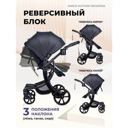 Коляска трансформер Aimile Original Autumn черный