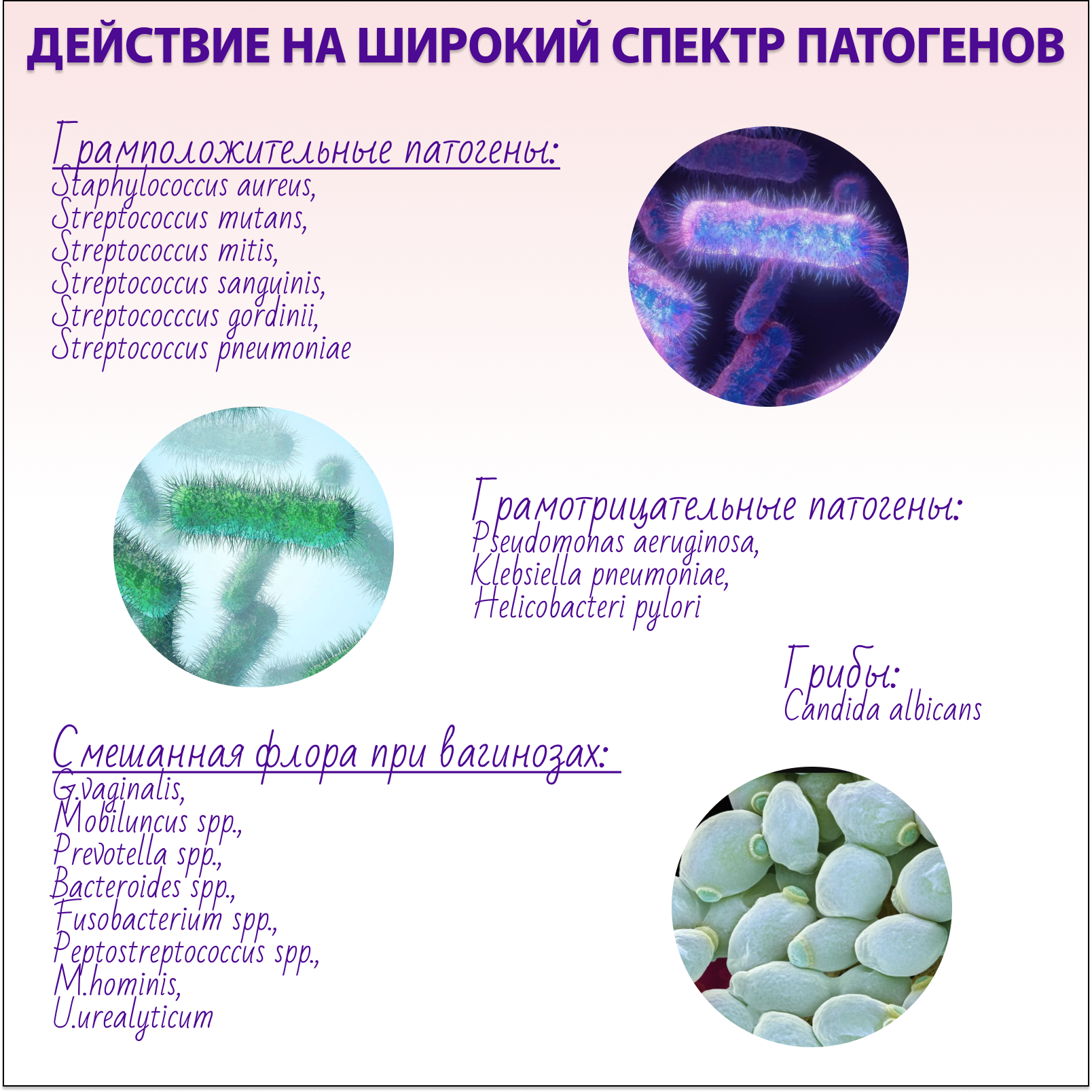 Актигель Multi-Gyn от бактериального вагиноза 50 мл - фото 7
