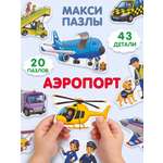 Пазл Бигр Аэропорт УД189