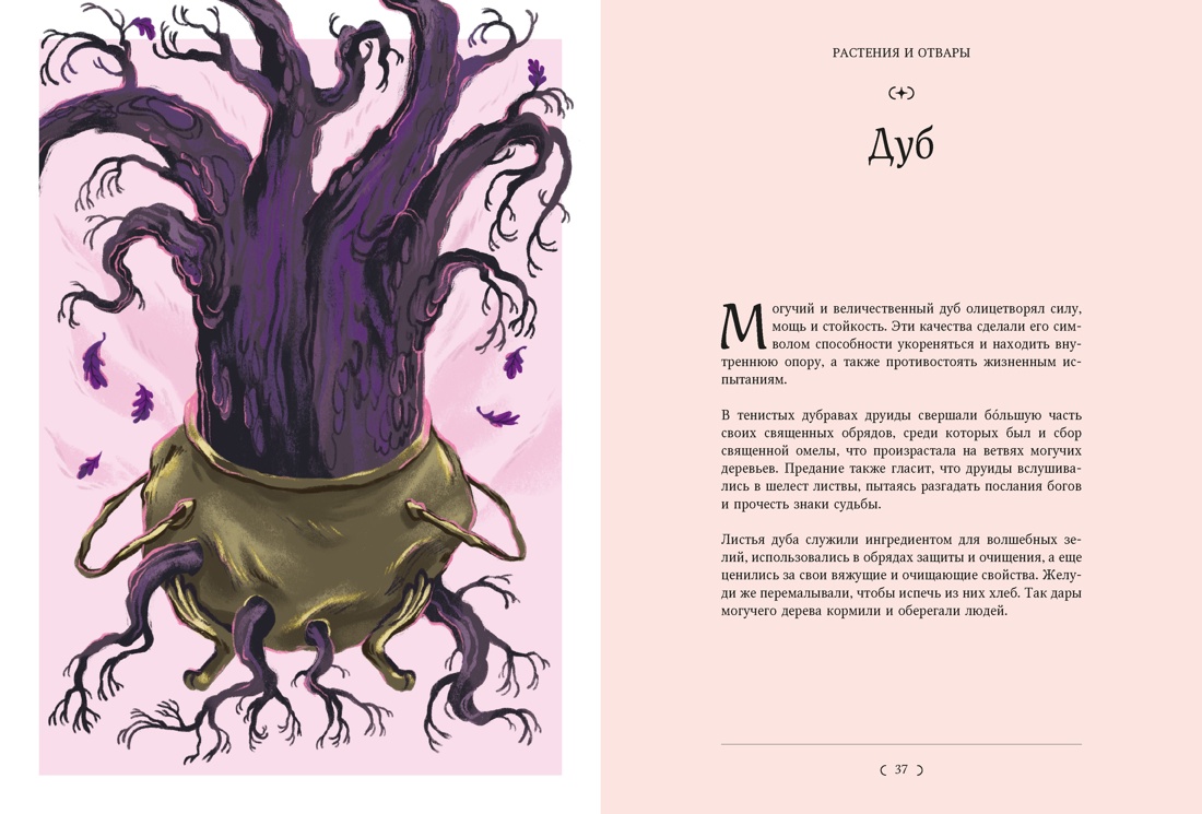 Книга КОЛИБРИ Манци Д Мифы и легенды кельтов - фото 12