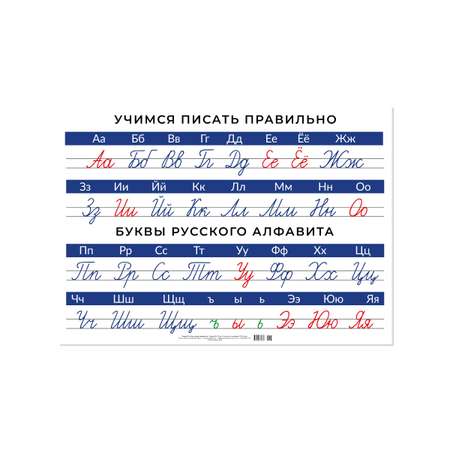 Плакат школьный БимБиМон Пишем правильно