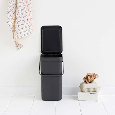 Ведро для мусора Brabantia Sort go 12л