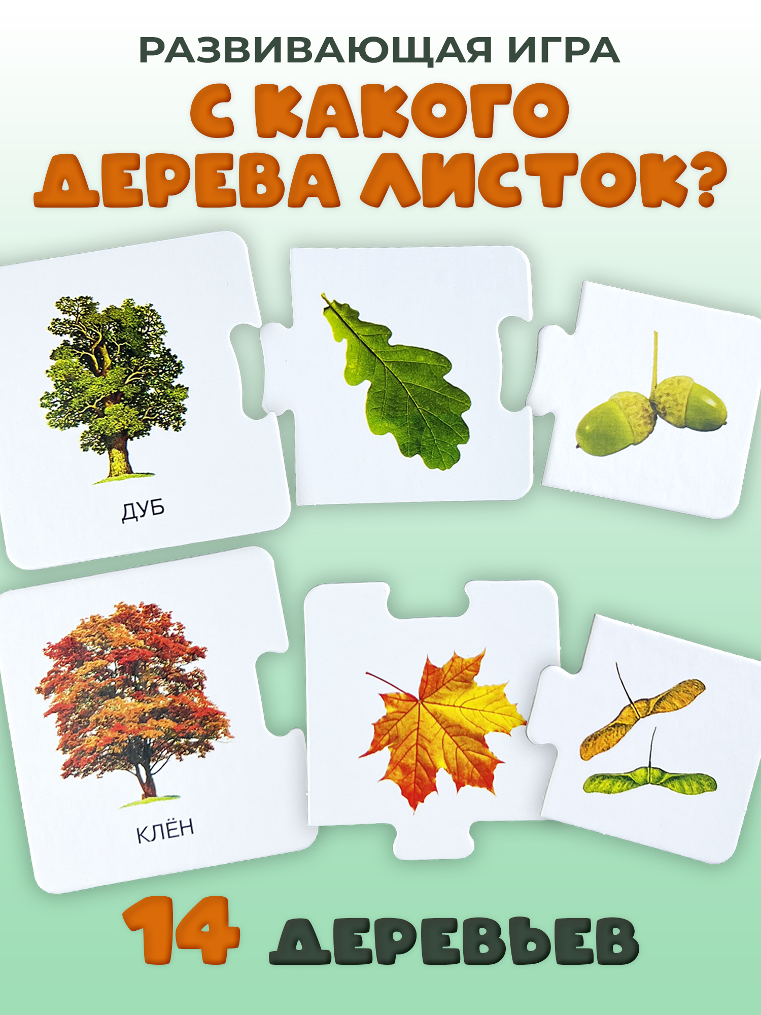 Развивающая игра Дрофа-Медиа С какого дерева листок 2896 - фото 1
