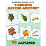 Развивающая игра Дрофа-Медиа С какого дерева листок 2896