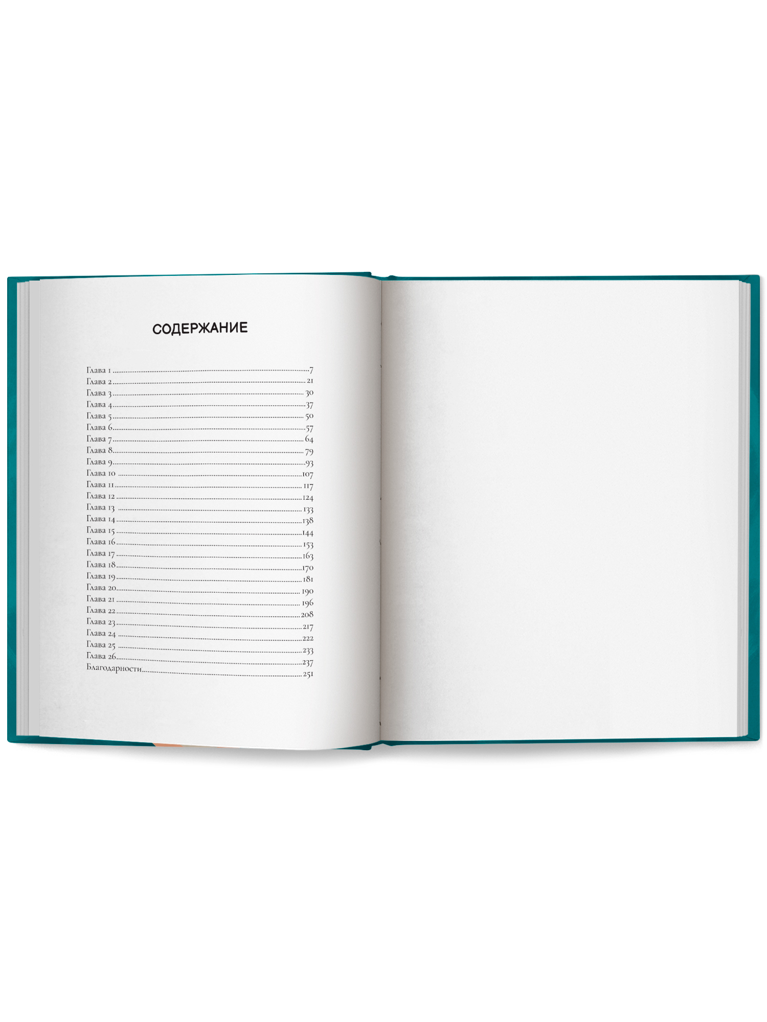 Мальчик чьи желания исполнялись Феникс Книга - фото 10