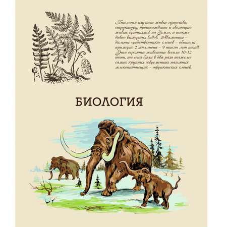 Тетрадь Феникс + 48 лист. (Биология)
