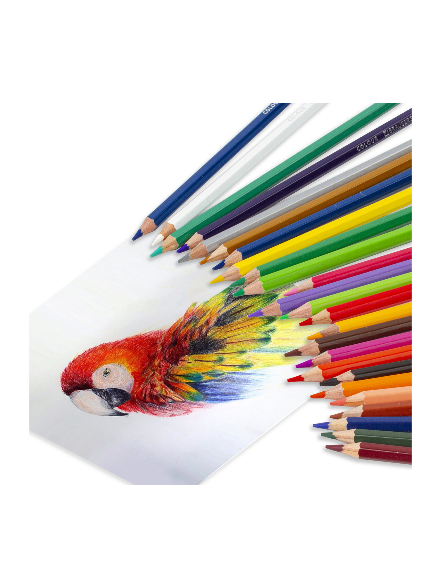 Карандаши цветные Brauberg 36 шт. - фото 12