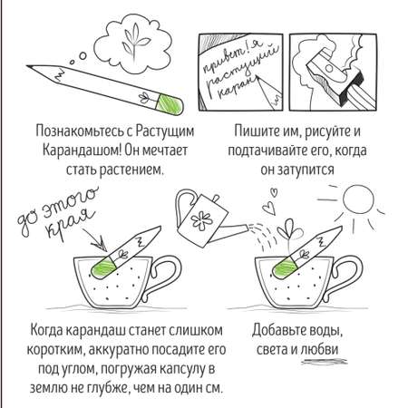 Набор для выращивания magicme