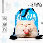 Мешок для обуви ArtFox STUDY Cat Bag